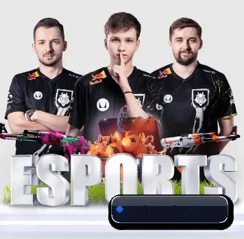 bsports APP